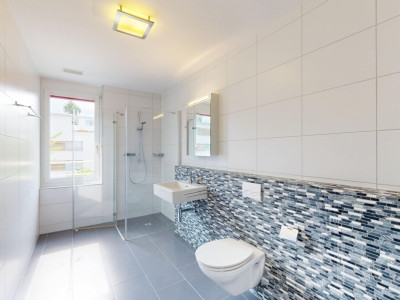 157 m2 moderner Wohnkomfort mit Weitsicht auf Säntis und Churfirsten image 5