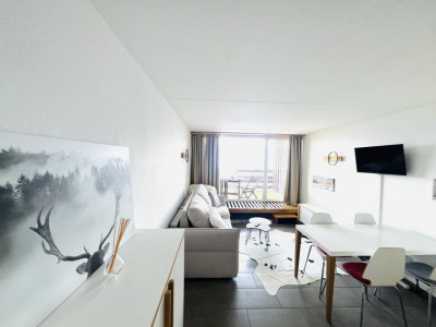 À LOUER - Appartement fonctionnel et lumineux avec balcon à Anzère image 11