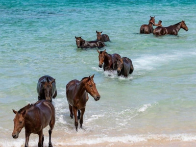 Exceptional Villa with Ocean View | Sumba, Indonesia | Opportunity image 11