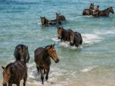 Villa d’exception avec vue océan | Sumba, Indonésie | Opportunité image 7