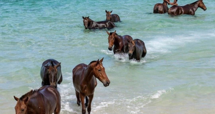 Exceptional Villa with Ocean View | Sumba, Indonesia | Opportunity image 11