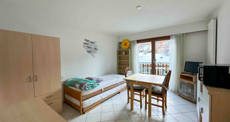 Dès le 01.05.26 Studio Margueron n° 266 au centre de Vercorin image 2