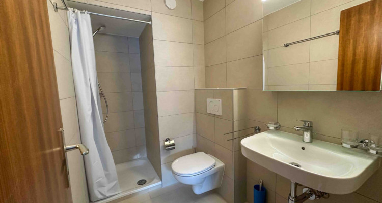 Dès le 01.05.26 Studio Margueron n° 266 au centre de Vercorin image 4