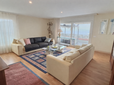 Très joli appartement avec vue sur le Lac en viager occupé sans rente image 2