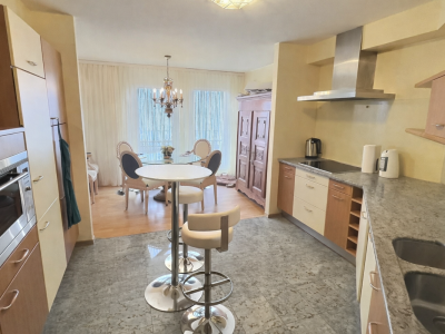 Très joli appartement avec vue sur le Lac en viager occupé sans rente image 3