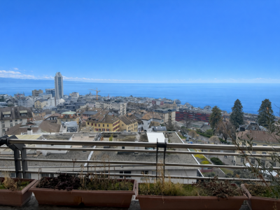 Très joli appartement avec vue sur le Lac en viager occupé sans rente image 9