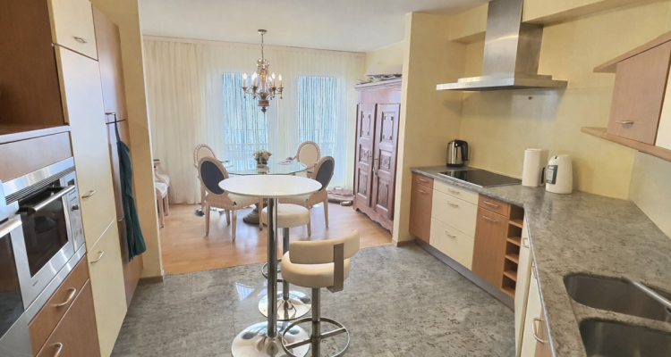 Très joli appartement avec vue sur le Lac en viager occupé sans rente image 3