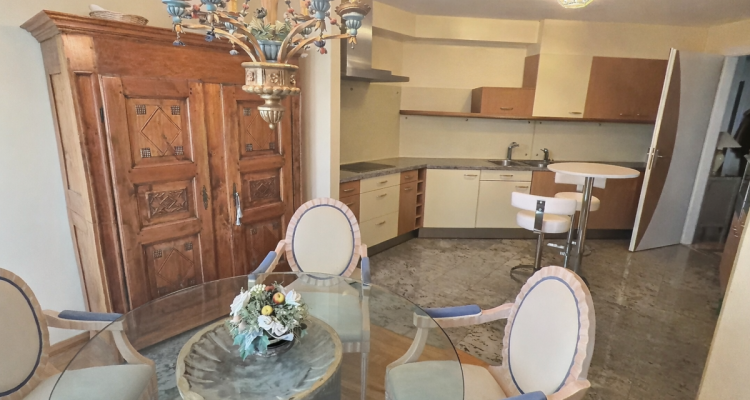 Très joli appartement avec vue sur le Lac en viager occupé sans rente image 4