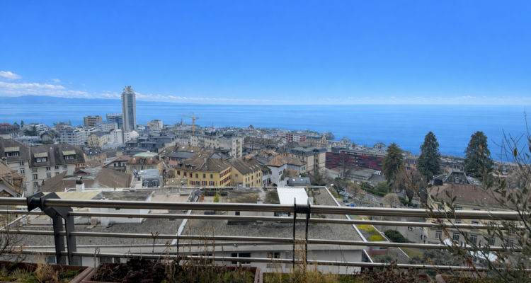 Très joli appartement avec vue sur le Lac en viager occupé sans rente image 9