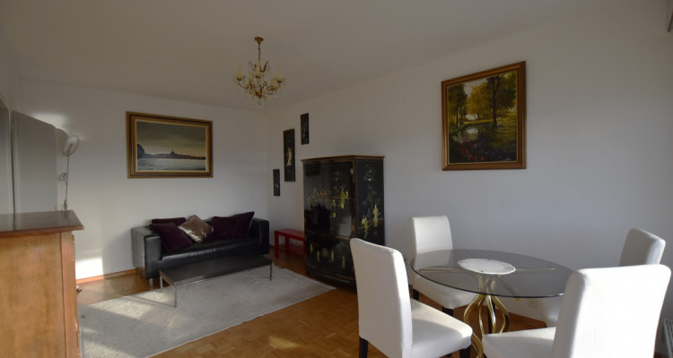 BEL APPARTEMENT MEUBLE AVEC VUE DOMINANTE SUR LE JURA, A THÔNEX image 4