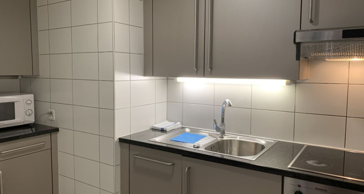 Beautiful Furnished 3 pieces Apartment  AVENUE DE FRANCE 4, GENEVA image 12