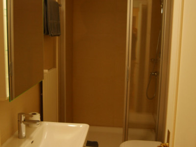 Bel appartement 2,5 pièces à Carouge (Genève) image 4