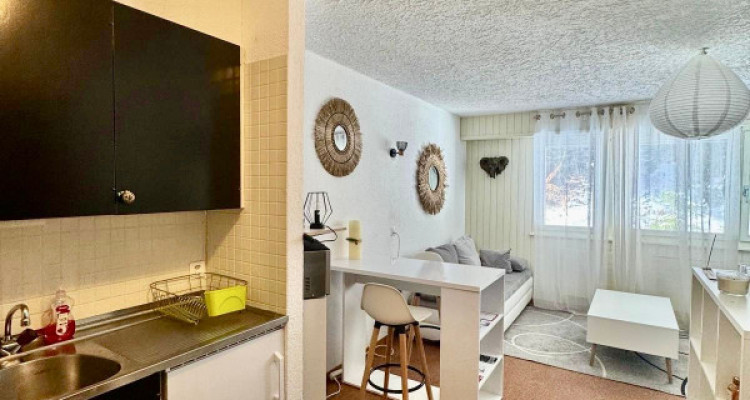 CHARMANT STUDIO DE 28 M2 AU COEUR DE THYON LES COLLONS 1800 image 9