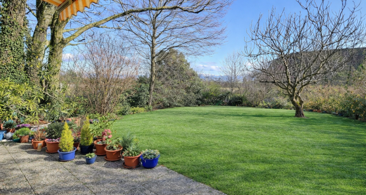 Jolie maison en viager occupé sans rente au calme avec un grand jardin image 3