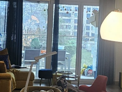 Magnifique 5 pièces à Thônex avec 2 balcons et place de parking intérieure image 5