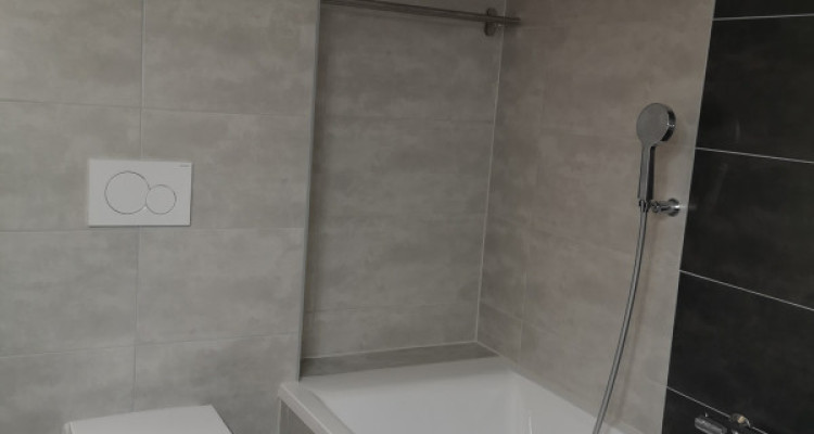 Duplex dexception avec vue splendide sur le lac de Morat et les Alpes image 7