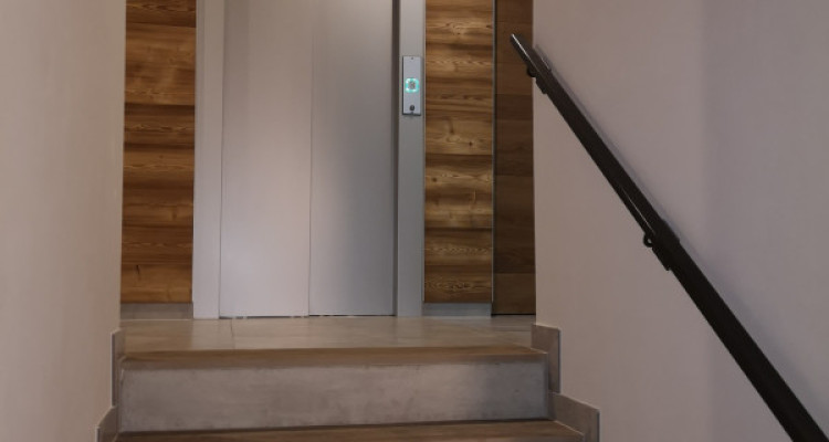 Duplex dexception avec vue splendide sur le lac de Morat et les Alpes image 11