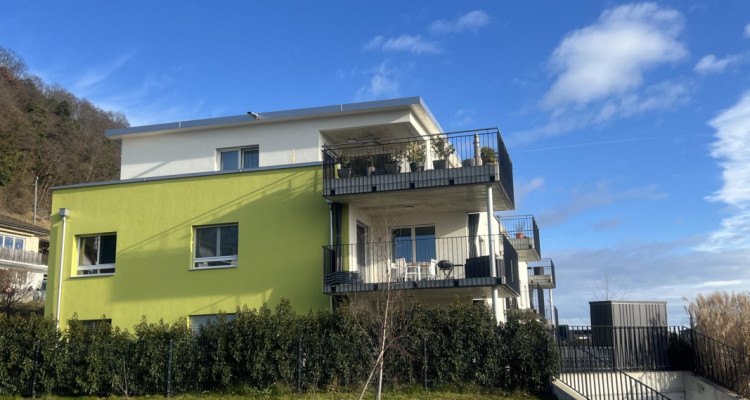 Attique contemporain avec terrasse panoramique et vue imprenable sur les Alpes ? image 12