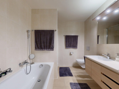 Très bel attique traversant avec balcons et 1 place de parking image 11