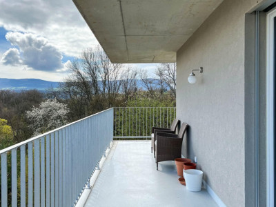 💎 EXCLUSIVITÉ – Reprise de bail : Superbe 5 pièces à Chancy 🌿 image 5