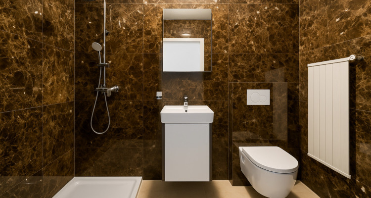 4,5 pièces haut de gamme image 6