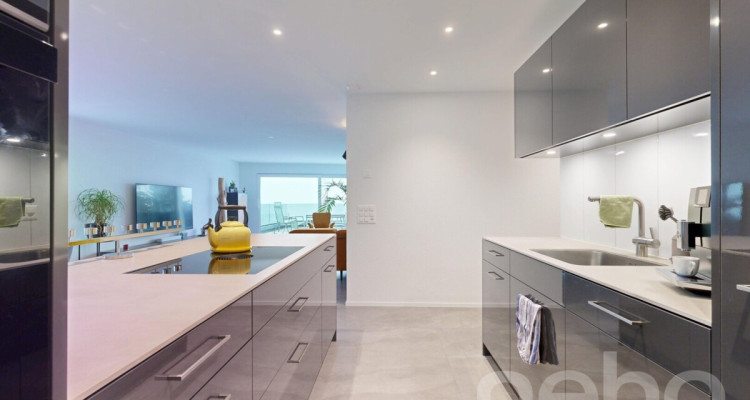 Stilvolle, hochwertige und lichtdurchflutete Terrassenwohnung image 9