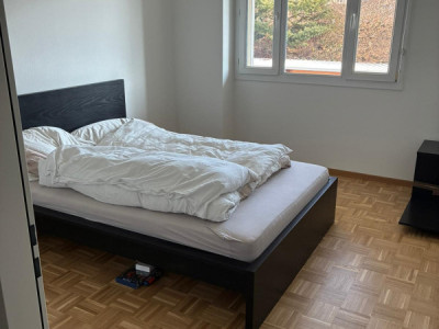 Nous vous proposons un magnifique appartement de 6 pièces Plan Les Ouates  image 5