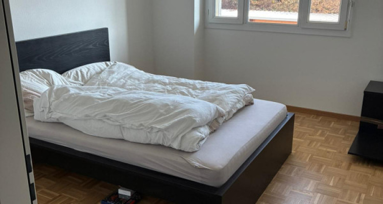 Nous vous proposons un magnifique appartement de 6 pièces Plan Les Ouates  image 5