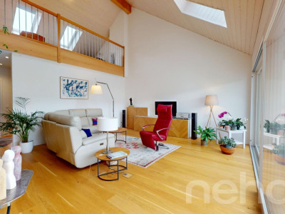 Cadre d?exception : duplex récent ouvert sur la nature image 3