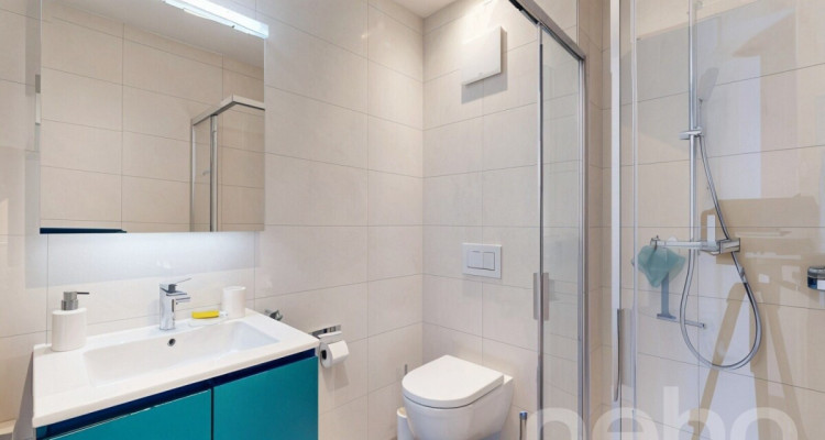 Cadre d?exception : duplex récent ouvert sur la nature image 11