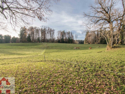 La campagne à quelques minutes de la ville ... image 1