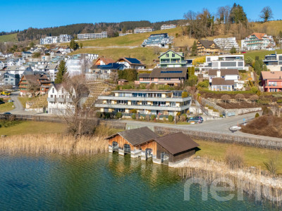 Panorama Seesicht, Minergie-Standard, Ein-Ebenen Konzept image 1