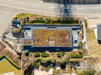 Panorama Seesicht, Minergie-Standard, Ein-Ebenen Konzept image 12