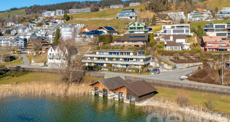 Panorama Seesicht, Minergie-Standard, Ein-Ebenen Konzept image 1
