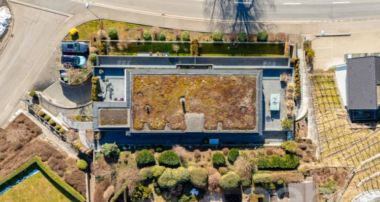 Panorama Seesicht, Minergie-Standard, Ein-Ebenen Konzept image 12