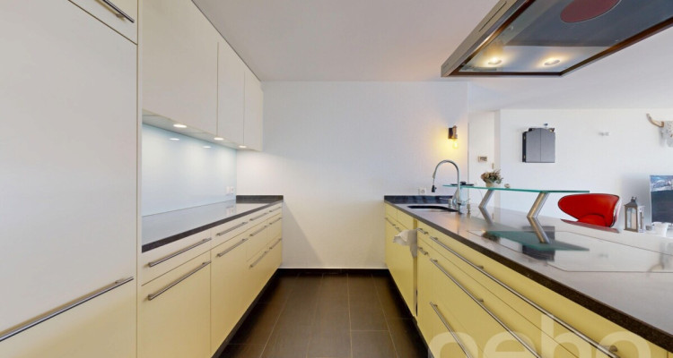 Panorama Seesicht, Minergie-Standard, Ein-Ebenen Konzept image 8