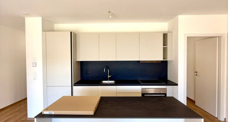 APPARTEMENT DE RENDEMENT NEUF ! REZ-DE-JARDIN 2.5 PCS, 78 M2 - SION  image 6