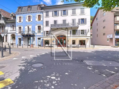 5-room duplex in historic downtown building image 2