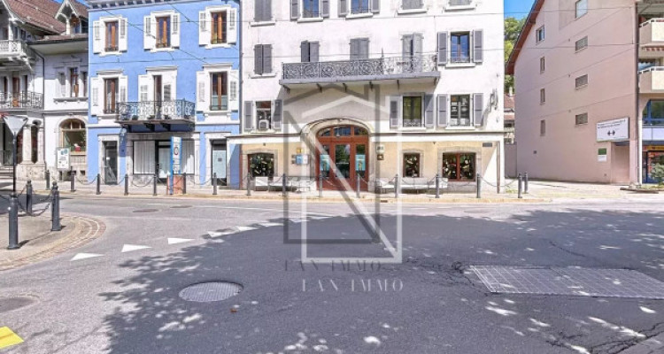 5-room duplex in historic downtown building image 2