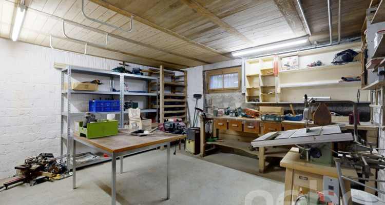 Familienfreundliches Haus mit grossem Garten und Umbaupotential image 10