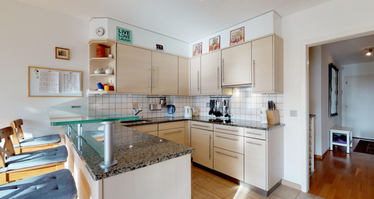 Proche du collège Champittet - avec jardin image 7