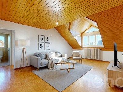 Spacieux duplex en attique à deux pas de la gare image 4