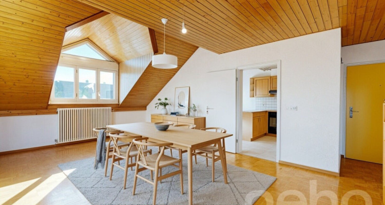 Spacieux duplex en attique à deux pas de la gare image 3