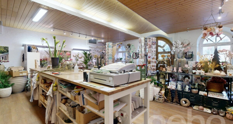 Top-Renditeliegenschaft an bester Lage image 10