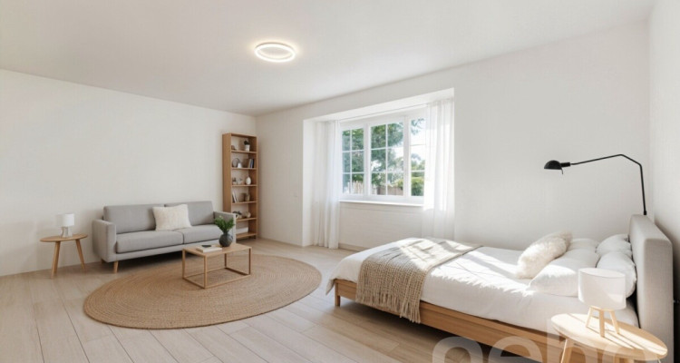 Duplex avec jardin, immense cave et 2 couverts à voiture image 7