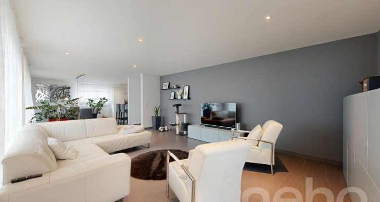 Maison individuelle familiale de 5.5 pièces avec jardin image 5