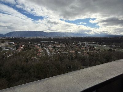 Appartement 4 pièces au Lignon image 8