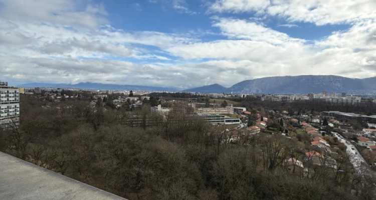 Appartement 4 pièces au Lignon image 7