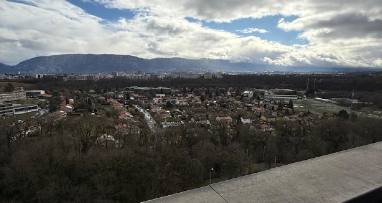 Appartement 4 pièces au Lignon image 8