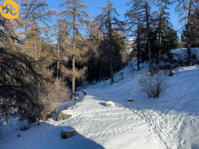 Appartement de 3.5 pièces neuf à louer à VercorinAppartement Situation dominanteAppartement Bella Lui n° 181 image 8